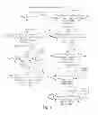 Fig. 12 - Cytotoxic benzodiazepine derivatives and methods of preparation