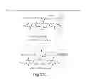 Fig. 32 - Cytotoxic benzodiazepine derivatives and methods of preparation