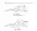 Fig. 33 - Cytotoxic benzodiazepine derivatives and methods of preparation