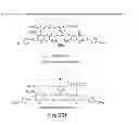 Fig. 35 - Cytotoxic benzodiazepine derivatives and methods of preparation