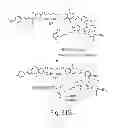Fig. 38 - Cytotoxic benzodiazepine derivatives and methods of preparation
