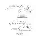Fig. 41 - Cytotoxic benzodiazepine derivatives and methods of preparation
