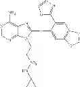 Fig. 166 - Hsp90 inhibitors
