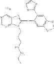 Fig. 232 - Hsp90 inhibitors
