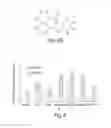 Fig. 08 - Methods and compositions for treating β-thalassemia and sickle cell disease