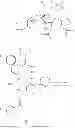 Fig. 02 - Taxane Pro-Emulsion Formulations and Methods Making and Using the Same