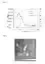 Fig. 02 - WATER-DISPERSED PRESSURE-SENSITIVE ADHESIVE COMPOSITION, PRESSURE-SENSITIVE ADHESIVE AND PRESSURE-SENSITIVE ADHESIVE SHEET