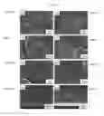 Fig. 02 - Solid-state shear pulverization/melt-mixing methods and related polymer-carbon nanotube composites