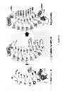 Fig. 09 - Water-soluble polypeptides comprised of repeat modules, method for preparing the same and method for a target-specific polypeptide and analysis of biological activity thereof