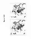 Fig. 05 - Photosynthetic organisms and compositions and methods of generating same