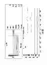 Fig. 50 - Techniques for evaluating urinary stress incontinence and use of involuntary reflex cough as a medical diagnostic tool