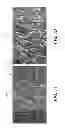 Fig. 07 - Fabrication and Use of Epidermal Electrodes