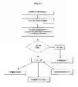 Fig. 02 - NONINVASIVE METHOD FOR DETERMINING THE PRESENCE OF SYSTEMIC HYPERTENSION IN A SUBJECT