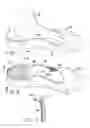 Fig. 02 - GARMENT FOR TREATMENT OF APPENDAGES