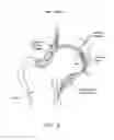 Fig. 07 - Method and apparatus for re-attaching the labrum of a hip joint