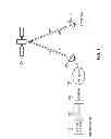 Fig. 02 - Removing network delay in a live broadcast