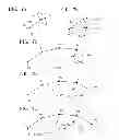 Fig. 07 - Locus correcting method, locus correcting apparatus, and mobile object equipment