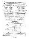 Fig. 10 - Method for digital demodulation and further processing of signals obtained in the measurement of electrical bioimpedance or bioadmittance in a human subject