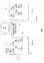 Fig. 02 - MOTION DETECTION AUTOTUNING