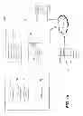 Fig. 02 - METHOD AND SYSTEM FOR DETECTING AND CATEGORIZING DISEASE