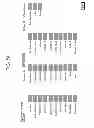 Fig. 46 - FLEET ADMINISTRATION SYSTEM AND METHOD
