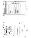 Fig. 07 - SYSTEM AND METHOD OF DETECTING FRAUD IN THE PROVISION OF A DEAL FOR A SERVICE ON A MOBILE DEVICE