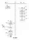 Fig. 13 - Dual Device Security for Loyalty and Other Transactions