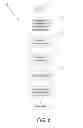Fig. 08 - Generation of advertising targeting information based upon affinity information obtained from an online social network