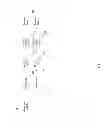 Fig. 04 - Mass reversal of documents based on reversal tasks and reversal triggers
