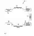 Fig. 08 - ADDRESSES IN FINANCIAL SYSTEMS