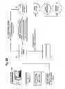 Fig. 04 - Method and Apparatus for Simultaneous Average Price Execution in Leader and Follower Trading Accounts