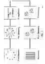 Fig. 04 - Methods and systems for scalable group detection from multiple data streams