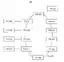 Fig. 01 - Detection of memory address aliasing and violations of data dependency relationships