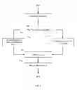 Fig. 08 - Query translation for searching complex structures of objects