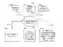 Fig. 01 - SYSTEMS AND METHODS FOR IDENTIFYING OBJECTS DISPLAYED IN A MEDIA ASSET