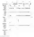 Fig. 01 - Systems and methods for applying user actions to conversation messages