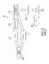 Fig. 03 - System and method for caching content at an end user'S customer premises equipment