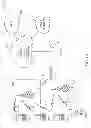 Fig. 02 - Method and apparatus for accessing services affiliated with a discovered service provider
