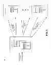 Fig. 02 - OBJECT REPLICATION FRAMEWORK FOR A DISTRIBUTED COMPUTING ENVIRONMENT