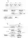 Fig. 02 - Execution of additional instructions in conjunction atomically as specified in instruction field