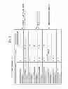 Fig. 11 - DATA TRANSITION TRACING APPARATUS, DATA TRANSITION TRACING METHOD AND STORAGE MEDIUM STORING DATA TRANSITION TRACING PROGRAM