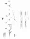 Fig. 04 - APPARATUS AND METHOD FOR LOW DENSITY PARITY CHECK (LDPC) ENCODING
