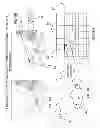 Fig. 07 - SYSTEM AND METHOD FOR A UNIVERSAL RESIDENT SCALABLE NAVIGATION AND CONTENT DISPLAY SYSTEM COMPATIBLE WITH ANY DIGITAL DEVICE USING SCALABLE TRANSPARENT ADAPTABLE RESIDENT INTERFACE DESIGN AND PICTO-OVERLAY INTERFACE ENHANCED TRANS-SNIP TECHNOLOGY