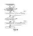 Fig. 10 - INFORMATION PROCESSING APPARATUS, INFORMATION PROCESSING METHOD, AND INFORMATION PROCESSING PROGRAM