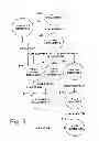 Fig. 06 - SYSTEMS AND METHODS FOR DEFINING A SIMULATED INTERACTIVE WEB PAGE
