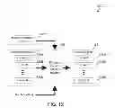 Fig. 11 - Dynamically building locale objects at run-time