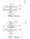 Fig. 07 - Dynamically building locale objects or subsections of locale objects based on historical data