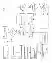 Fig. 06 - Method of deploying a contextually dependent application