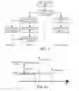 Fig. 06 - Processing user input events in a web browser
