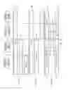 Fig. 04 - Dynamic optimization of video content distribution